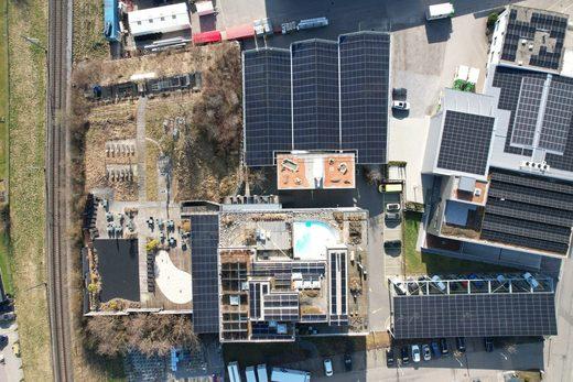 Solarpanels und Dachbegrünung